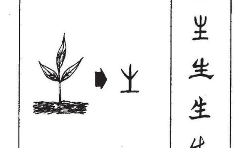 药用炭片一般吃多久停药-吃药用炭片有副作用吗网 | 吃药用炭片便秘怎么办,药用炭片吃了会拉黑便吗